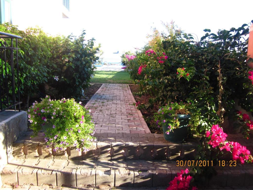 Gerasimoula Studios Трапезакі Номер фото